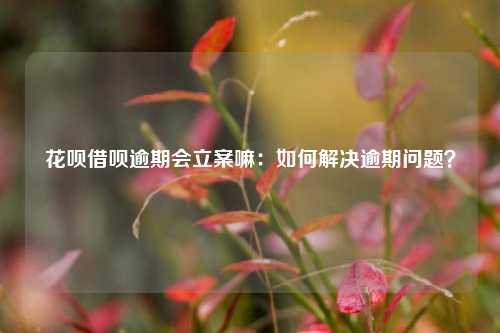 花呗借呗逾期会立案嘛：如何解决逾期问题？