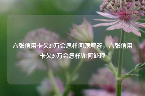 六张信用卡欠20万会怎样问题解答，六张信用卡欠20万会怎样如何处理