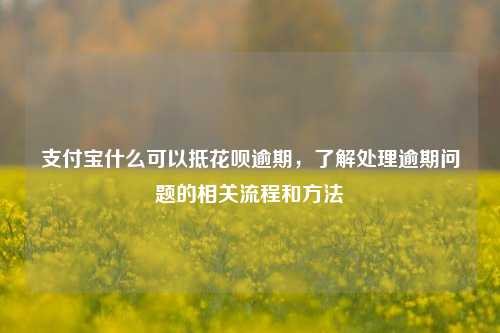 支付宝什么可以抵花呗逾期，了解处理逾期问题的相关流程和方法