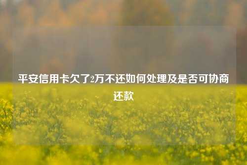 平安信用卡欠了2万不还如何处理及是否可协商还款