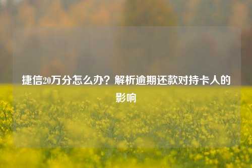 捷信20万分怎么办？解析逾期还款对持卡人的影响