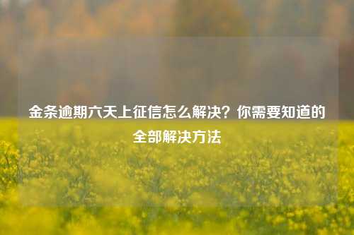 金条逾期六天上征信怎么解决？你需要知道的全部解决方法