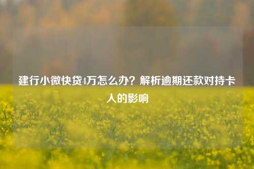 建行小微快贷4万怎么办？解析逾期还款对持卡人的影响