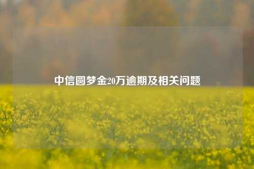 中信圆梦金20万逾期及相关问题