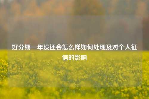 好分期一年没还会怎么样如何处理及对个人征信的影响