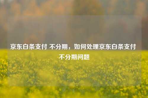 京东白条支付 不分期，如何处理京东白条支付 不分期问题