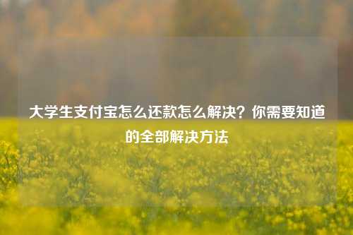 大学生支付宝怎么还款怎么解决？你需要知道的全部解决方法