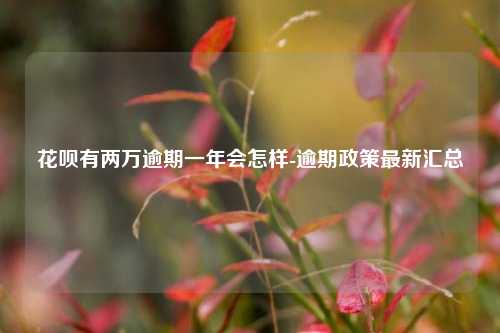 花呗有两万逾期一年会怎样-逾期政策最新汇总