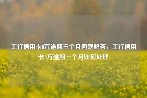 工行信用卡8万逾期三个月问题解答，工行信用卡8万逾期三个月如何处理