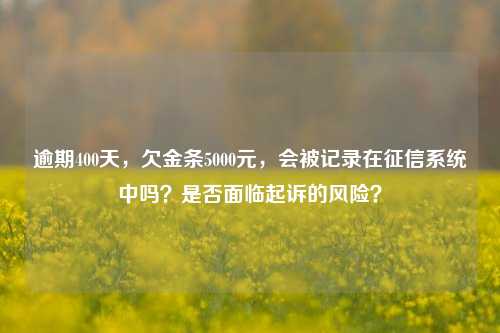 逾期400天，欠金条5000元，会被记录在征信系统中吗？是否面临起诉的风险？