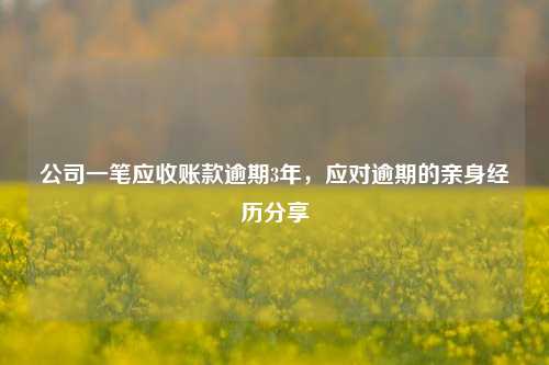 公司一笔应收账款逾期3年，应对逾期的亲身经历分享