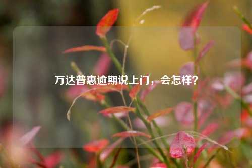 万达普惠逾期说上门，会怎样？