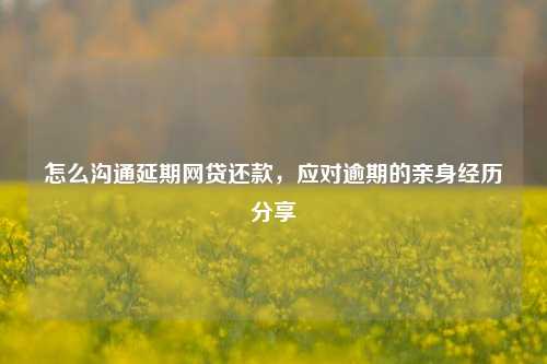 怎么沟通延期网贷还款，应对逾期的亲身经历分享