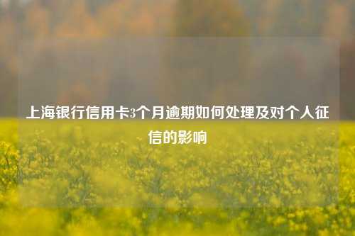 上海银行信用卡3个月逾期如何处理及对个人征信的影响