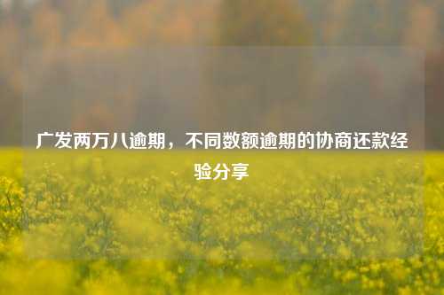 广发两万八逾期，不同数额逾期的协商还款经验分享