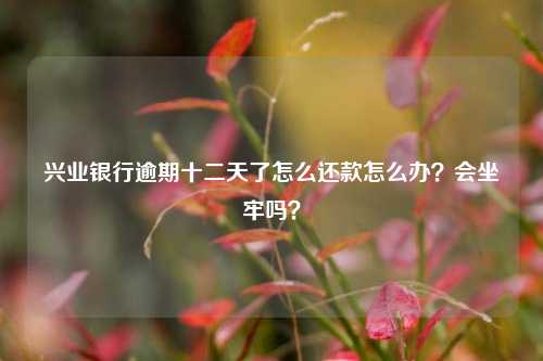 兴业银行逾期十二天了怎么还款怎么办？会坐牢吗？