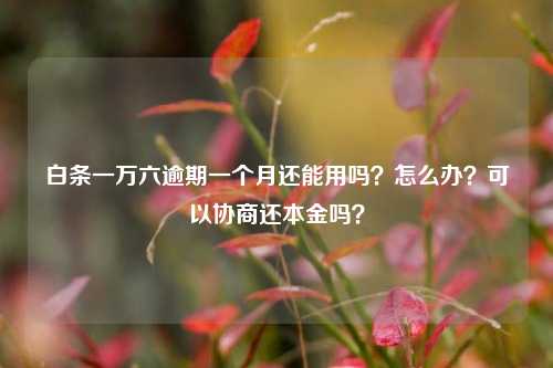 白条一万六逾期一个月还能用吗？怎么办？可以协商还本金吗？