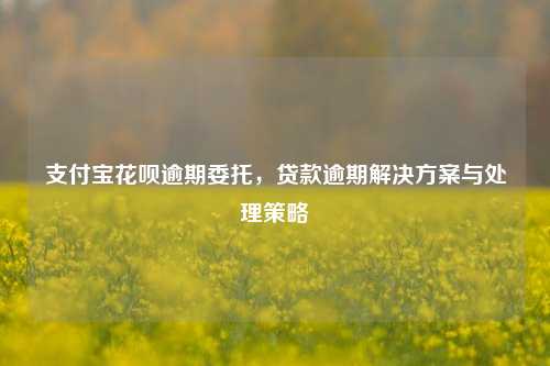 支付宝花呗逾期委托，贷款逾期解决方案与处理策略