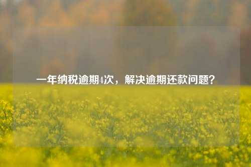 一年纳税逾期4次，解决逾期还款问题？