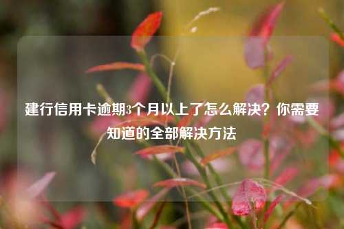 建行信用卡逾期3个月以上了怎么解决？你需要知道的全部解决方法