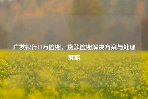 广发银行11万逾期，贷款逾期解决方案与处理策略