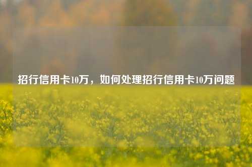 招行信用卡10万，如何处理招行信用卡10万问题