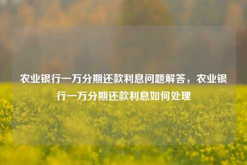 农业银行一万分期还款利息问题解答，农业银行一万分期还款利息如何处理