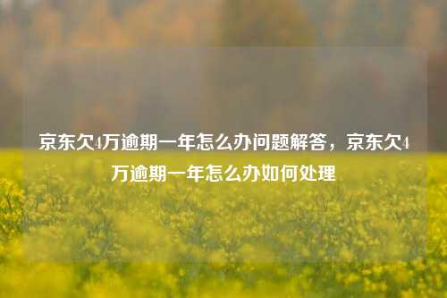 京东欠4万逾期一年怎么办问题解答，京东欠4万逾期一年怎么办如何处理