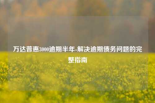 万达普惠3000逾期半年-解决逾期债务问题的完整指南