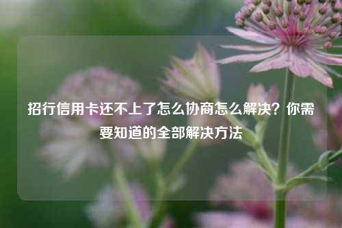 招行信用卡还不上了怎么协商怎么解决？你需要知道的全部解决方法