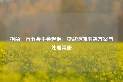 招商一万五会不会起诉，贷款逾期解决方案与处理策略