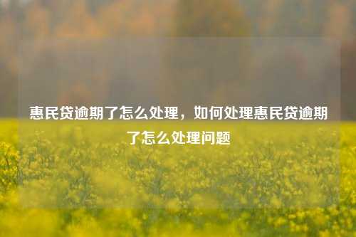 惠民贷逾期了怎么处理，如何处理惠民贷逾期了怎么处理问题