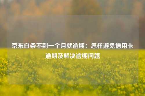 京东白条不到一个月就逾期：怎样避免信用卡逾期及解决逾期问题