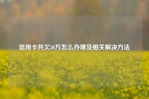 信用卡共欠30万怎么办理及相关解决方法