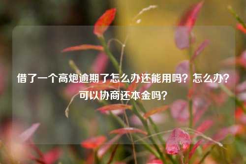 借了一个高炮逾期了怎么办还能用吗？怎么办？可以协商还本金吗？