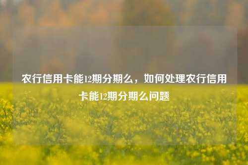 农行信用卡能12期分期么，如何处理农行信用卡能12期分期么问题