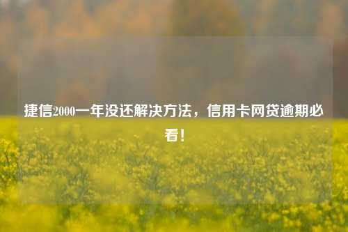 捷信2000一年没还解决方法，信用卡网贷逾期必看！