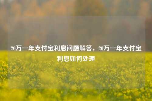 20万一年支付宝利息问题解答，20万一年支付宝利息如何处理