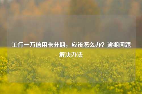 工行一万信用卡分期，应该怎么办？逾期问题解决办法