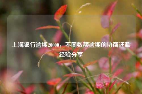 上海银行逾期20000，不同数额逾期的协商还款经验分享