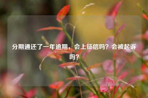 分期通还了一年逾期，会上征信吗？会被起诉吗？