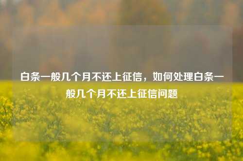 白条一般几个月不还上征信，如何处理白条一般几个月不还上征信问题