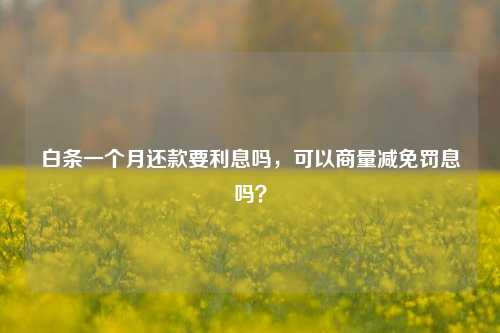 白条一个月还款要利息吗，可以商量减免罚息吗？