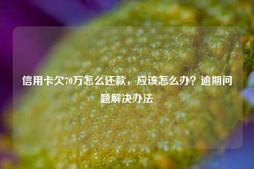 信用卡欠70万怎么还款，应该怎么办？逾期问题解决办法