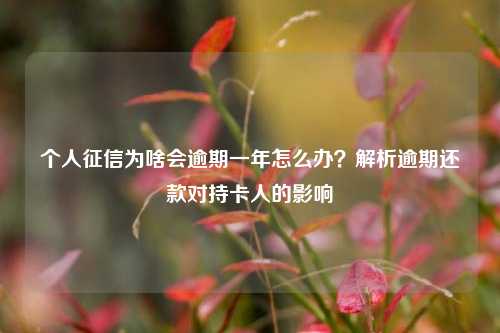 个人征信为啥会逾期一年怎么办？解析逾期还款对持卡人的影响