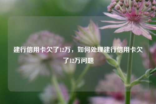 建行信用卡欠了12万，如何处理建行信用卡欠了12万问题