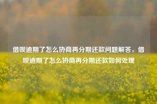 借呗逾期了怎么协商再分期还款问题解答，借呗逾期了怎么协商再分期还款如何处理