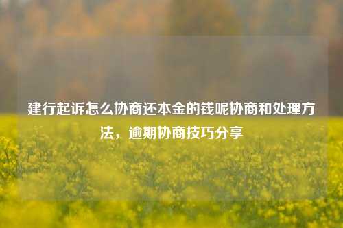 建行起诉怎么协商还本金的钱呢协商和处理方法，逾期协商技巧分享