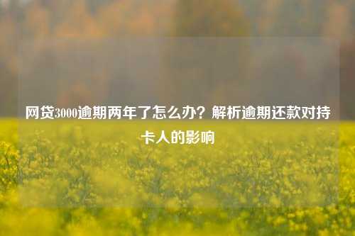 网贷3000逾期两年了怎么办？解析逾期还款对持卡人的影响