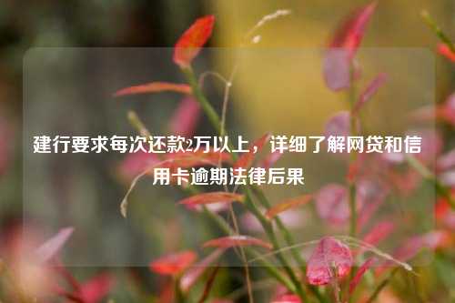 建行要求每次还款2万以上，详细了解网贷和信用卡逾期法律后果